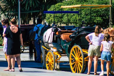 Sevilla İspanya 3 Temmuz 2021 Sevilla 'da fayton gezisi. Seville 'in tarihi merkezine git ve at arabası gezisi sırasında insanlar ana anıtları düşünebilecek.