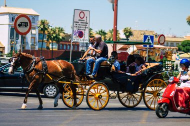 Sevilla İspanya 3 Temmuz 2021 Sevilla 'da fayton gezisi. Seville 'in tarihi merkezine git ve at arabası gezisi sırasında insanlar ana anıtları düşünebilecek.