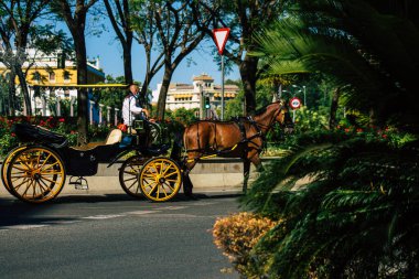 Sevilla İspanya 3 Temmuz 2021 Sevilla 'da fayton gezisi. Seville 'in tarihi merkezine git ve at arabası gezisi sırasında insanlar ana anıtları düşünebilecek.