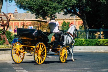 Sevilla İspanya 3 Temmuz 2021 Sevilla 'da fayton gezisi. Seville 'in tarihi merkezine git ve at arabası gezisi sırasında insanlar ana anıtları düşünebilecek.