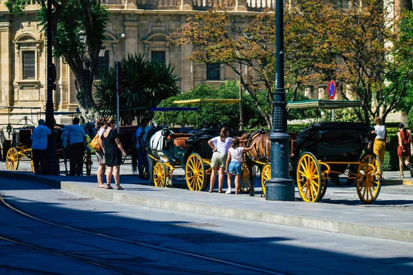 Sevilla Spanje Juli 2021 Paardenkoetsrit Door Sevilla Reis Door Het — Stockfoto