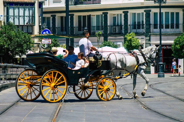Seville Spain July 2021 Horse Drawn Carriage Ride Seville Travel — Stock Photo, Image