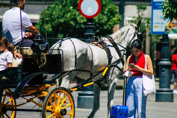 Seville Spain July 2021 Horse Drawn Carriage Ride Seville Travel — Stock Photo, Image