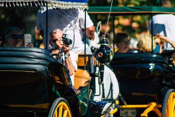 Seville Spain July 2021 Horse Drawn Carriage Ride Seville Travel — Stock Photo, Image