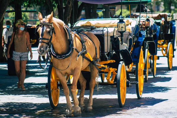 Sevilla España Julio 2021 Paseo Coche Caballo Por Sevilla Viaje — Foto de Stock