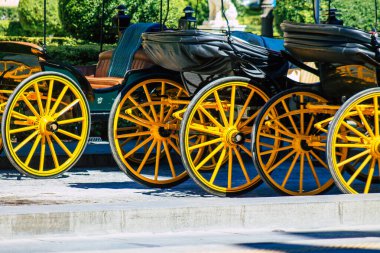 Sevilla İspanya 4 Temmuz 2021 Sevilla 'da fayton gezisi. Seville 'in tarihi merkezine git ve at arabası gezisi sırasında insanlar ana anıtları düşünebilecek.