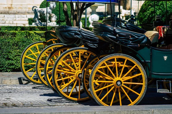 Seville Spain July 2021 Horse Drawn Carriage Ride Seville Travel — Stock Photo, Image