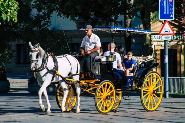 Seville Spain July 2021 Horse Drawn Carriage Ride Seville Travel — Stock Photo, Image