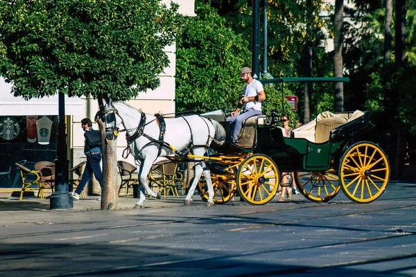 Seville Spain July 2021 Horse Drawn Carriage Ride Seville Travel — Stock Photo, Image