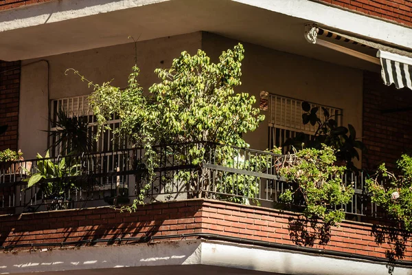 Sevilla España Julio 2021 Fachada Edificio Las Calles Sevilla Ciudad —  Fotos de Stock