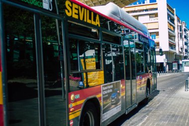 Seville İspanya 5 Temmuz 2021 otobüsü, İspanya 'nın güneyinde, sembolik bir şehir ve Endülüs bölgesinin başkenti olan Seville sokaklarından geçiyor.