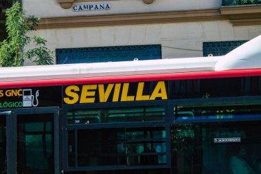 Seville İspanya 5 Temmuz 2021 otobüsü, İspanya 'nın güneyinde, sembolik bir şehir ve Endülüs bölgesinin başkenti olan Seville sokaklarından geçiyor.