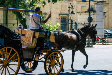 Sevilla İspanya 9 Temmuz 2021 Sevilla 'da fayton gezisi. Seville 'in tarihi merkezine git ve at arabası gezisi sırasında insanlar ana anıtları düşünebilecek.