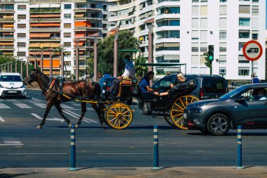 Sevilla İspanya 9 Temmuz 2021 Sevilla 'da fayton gezisi. Seville 'in tarihi merkezine git ve at arabası gezisi sırasında insanlar ana anıtları düşünebilecek.