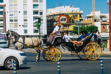 Sevilla İspanya 9 Temmuz 2021 Sevilla 'da fayton gezisi. Seville 'in tarihi merkezine git ve at arabası gezisi sırasında insanlar ana anıtları düşünebilecek.