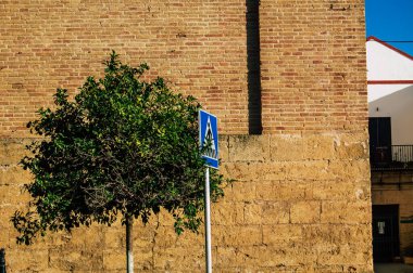 Carmona İspanya 18 Temmuz 2021 Carmona 'da Avrupa' nın Parlak Yıldızı olarak adlandırılan caddelerde yetişen portakal ağacı, tipik bir dar ve dolambaçlı Arap yerleşimini gösteriyor.