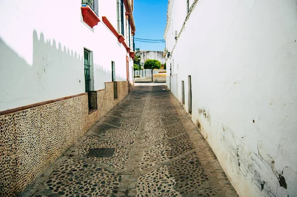 Carmona Spanien Juli 2021 Smal Gata Staden Carmona Kallas Europas — Stockfoto