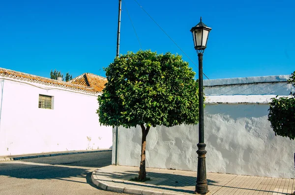 Carmona España Julio 2021 Naranjo Creciendo Las Calles Carmona Llamada — Foto de Stock