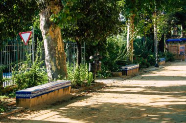 Carmona İspanya 20 Temmuz 2021 Alameda de Alfonso XIII ve Carmona şehir merkezinde bulunan aslanların çeşmesi, akşam yürümek ve ailelerle tanışmak için yerler.