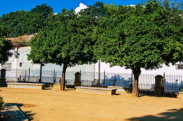 Carmona Spanje Juli 2021 Alameda Alfonso Xiii Fontein Van Leeuwen — Stockfoto