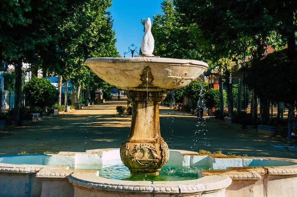 Carmona Automatische Übersetzung Juli 2021 Alameda Alfonso Xiii Und Löwenbrunnen — Stockfoto