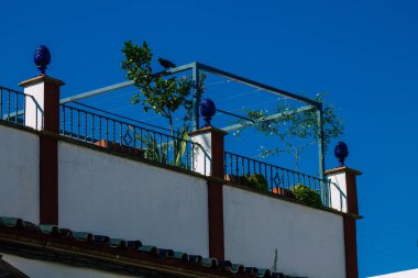 Carmona İspanya 26 Temmuz 2021 Carmona 'da Avrupa' nın Parlak Yıldızı olarak adlandırılan caddelerdeki eski ev cephesinde şehir tipik bir dar ve dolambaçlı Arap yerleşimi sergiliyor.