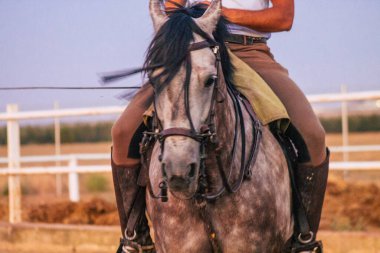 Carmona İspanya 26 Temmuz 2021 İspanya 'nın güneyinde Andalousia' dan bir ata binen adam