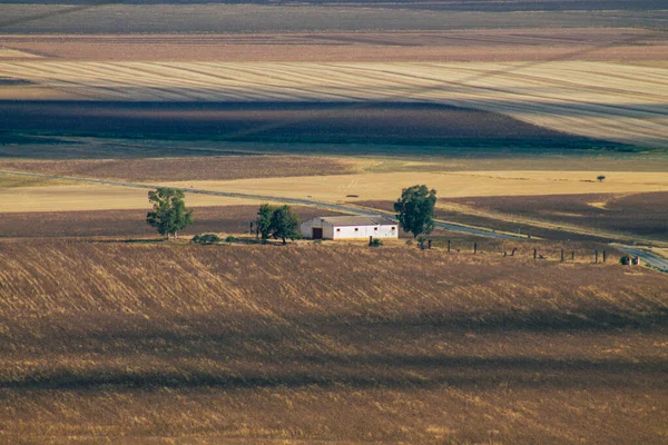 Carmona Španělsko Července 2021 Panoramatický Výhled Krajinu Také Volal Vega — Stock fotografie