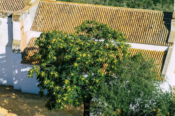 Carmona Spain July 2021 Countryside Carmona Located Andalusia South Spain — Stock Photo, Image