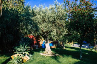 Carmona İspanya 3 Ağustos 2021 Anise Fabrikası manzaralı Los Hermanos, İspanya 'nın en eski içki imalathanelerinden biri, Carmona' nın en geleneksel tatları ve 1880 yılından kalma en iyi anason.