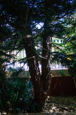 Carmona İspanya 3 Ağustos 2021 Anise Fabrikası manzaralı Los Hermanos, İspanya 'nın en eski içki imalathanelerinden biri, Carmona' nın en geleneksel tatları ve 1880 yılından kalma en iyi anason.