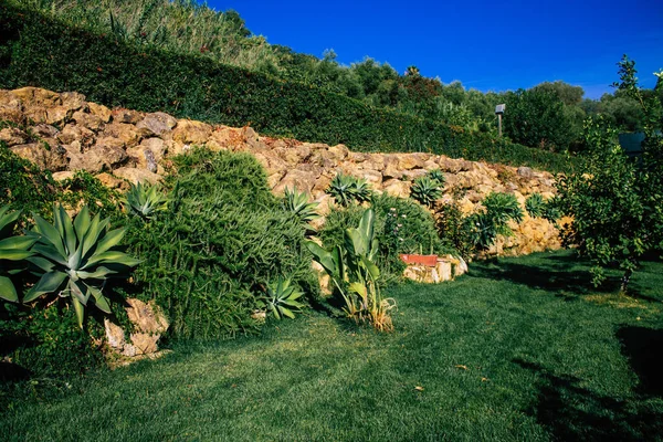 Carmona Spanien August 2021 Blick Auf Den Garten Der Anis — Stockfoto