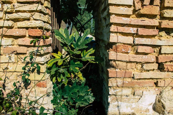 Carmona Espanha Agosto 2021 Destilaria Los Hermanos Fundada 1880 Uma — Fotografia de Stock