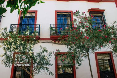 Seville İspanya 10 Ağustos 2021 İspanya 'nın güneyindeki Endülüs Bölgesi' nin başkenti ve sembolik bir şehir olan Sevilla sokaklarında bir binanın cephesi.