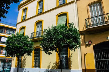 Seville İspanya 10 Ağustos 2021 İspanya 'nın güneyindeki Endülüs Bölgesi' nin başkenti ve sembolik bir şehir olan Sevilla sokaklarında bir binanın cephesi.