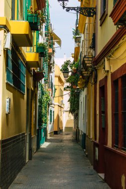 Seville İspanya 10 Ağustos 2021 Sevilla şehri, sembolik bir şehir ve İspanya 'nın güneyindeki Endülüs Bölgesi' nin başkenti.