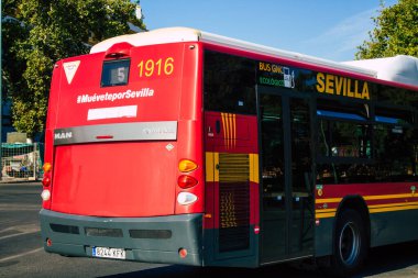 Sevilla İspanya 11 Ağustos 2021 Sevilla otobüsü Coronavirus salgını sırasında İspanya 'yı vurdu.
