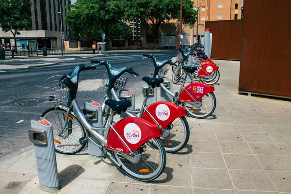 Seville Spain August 2021 Accessible Bicycles Hire Short Periods Time — Stock Photo, Image