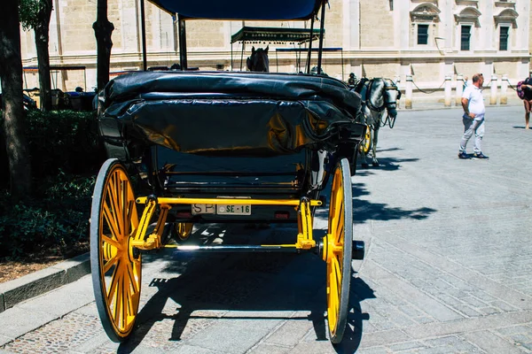 Seville Spain August 2021 Horse Drawn Carriage Ride Historic Center — Stock Photo, Image