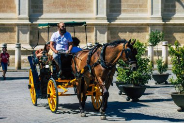Seville İspanya 11 Ağustos 2021 Seville 'in tarihi merkezinde at arabasıyla gezintiye çıktı ve at arabası gezisi sırasında insanlar ana anıtları düşünebilecek.