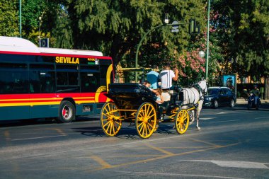 Seville İspanya 11 Ağustos 2021 Seville 'in tarihi merkezinde at arabasıyla gezintiye çıktı ve at arabası gezisi sırasında insanlar ana anıtları düşünebilecek.