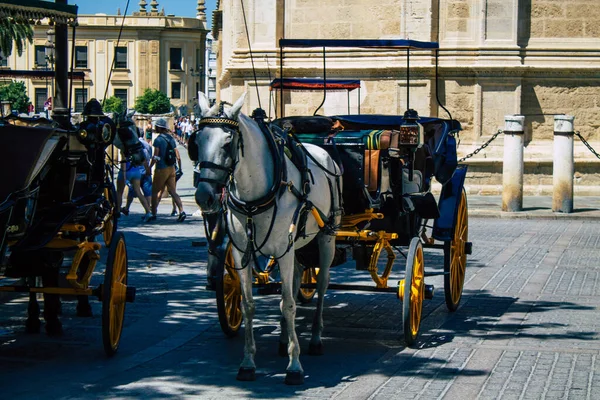 Seville Spain August 2021 Horse Drawn Carriage Ride Historic Center — Stock Photo, Image