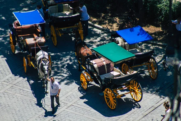 Seville Spain August 2021 Horse Drawn Carriage Ride Historic Center — Stock Photo, Image