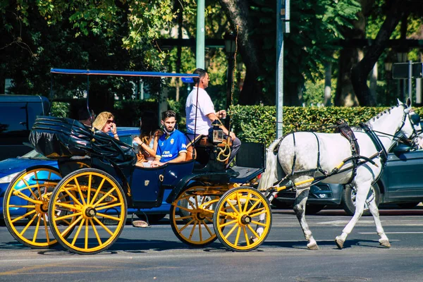 Seville Spain August 2021 Horse Drawn Carriage Ride Historic Center — Stock Photo, Image