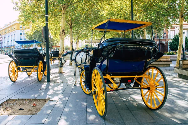 Sevilla España Agosto 2021 Paseo Carruaje Caballo Por Centro Histórico — Foto de Stock