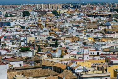 Seville İspanya 16 Ağustos 2021 Büyük Almohad Camii 'nin eski minaresi La Giralda' nın tepesinden Karmona Panoramik Manzarası