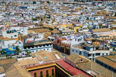 Seville İspanya 16 Ağustos 2021 Büyük Almohad Camii 'nin eski minaresi La Giralda' nın tepesinden Karmona Panoramik Manzarası