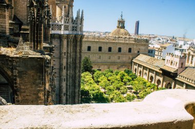 Seville İspanya 10 Ağustos 2021 Sevilla Metropolitan ve Patriksel Katedrali dünyanın en büyük Gotik katedralidir.