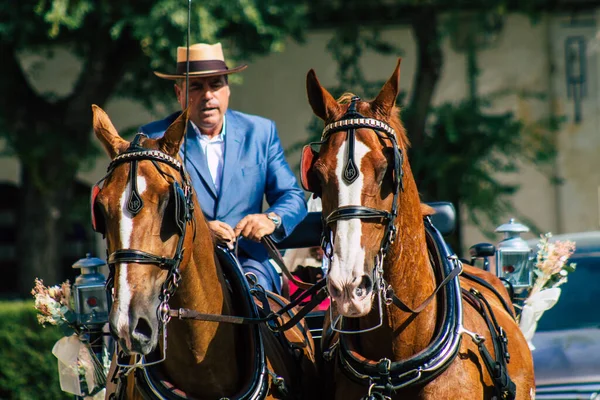 Carmona Spanien Augusti 2021 Häst Dragen Vagn Rida Genom Gatorna — Stockfoto