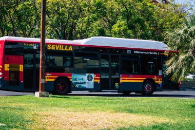 Sevilla İspanya 21 Ağustos 2021 Sevilla otobüsü Coronavirus salgını sırasında İspanya 'yı vurdu.